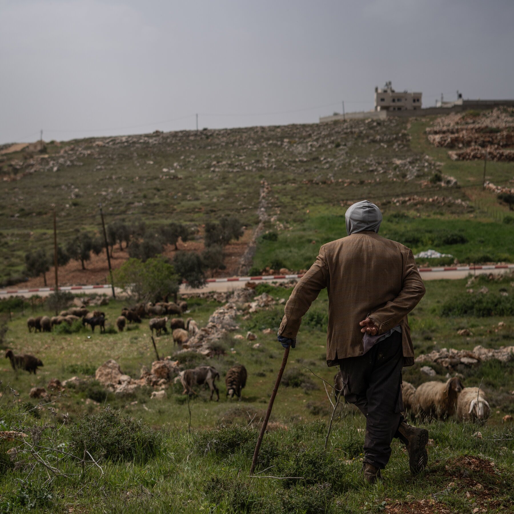 Israeli Settlers Are Out of Control
