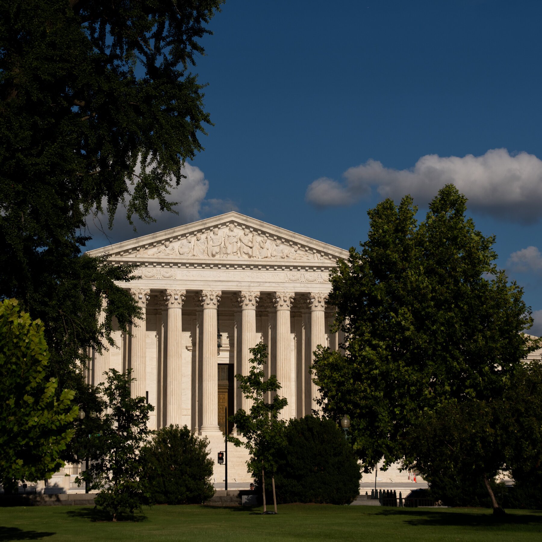 An Unlikely Emergency Appeal to the Supreme Court from a Dog Named Bruce