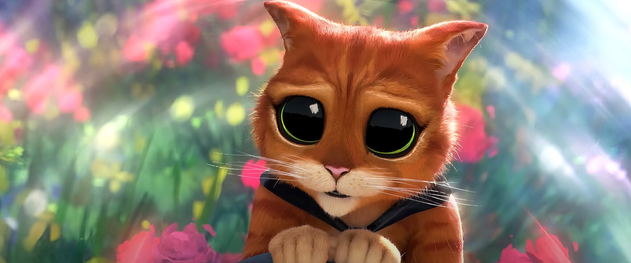 DreamWorks Remote Workers Ratify First Union Agreement With the Animation Guild