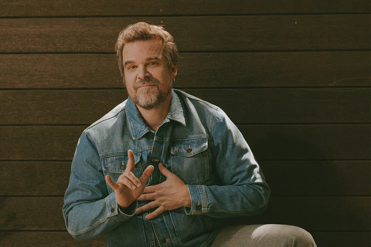 David Harbour Talks Learning ASL for ‘DTF St. Louis,’ Shares a Line From ‘Avengers: Doomsday’ and Wants a Christopher…
