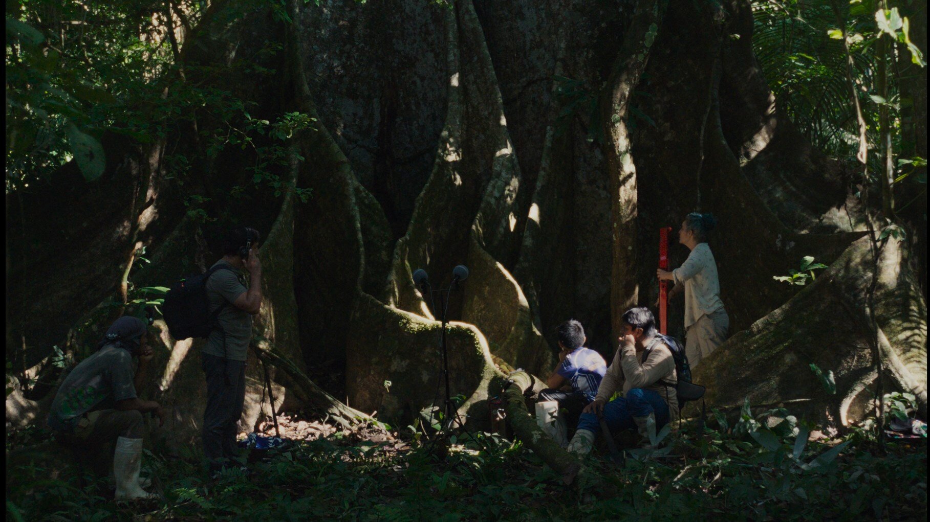 Far From the Trees’ Review: A Richly Contemplative Journey of Physical and Mental Meanderings, Beautifully Combining 4K Digital…