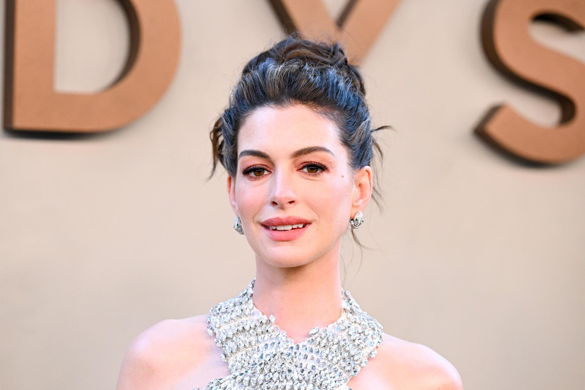 Anne Hathaway Says ‘Movies That Kill Dogs Should Automatically Be Rated R