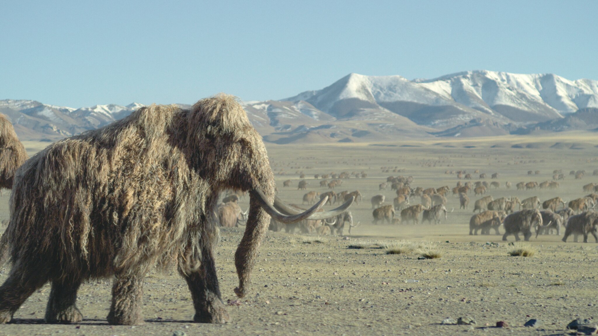 Prehistoric Planet: Ice Age’ Soundtrack Features New Music by Composers Hans Zimmer, Kara Talve and Anže Rozman