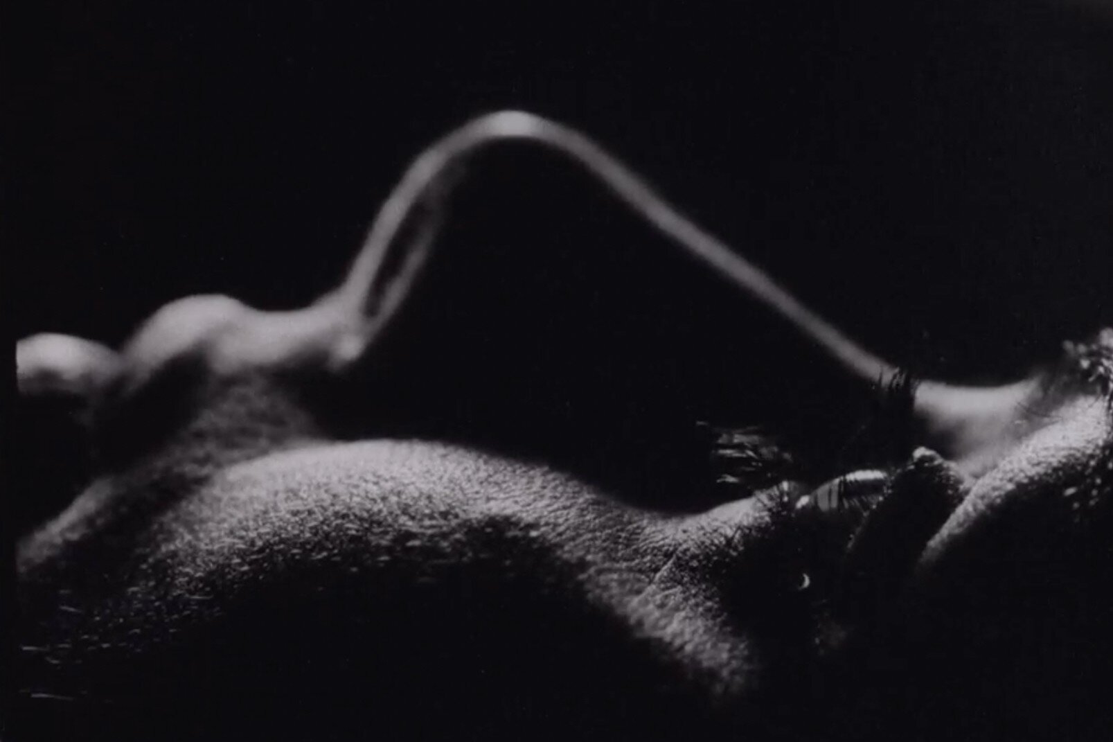 Motherhood Horror Film ‘Vagina Dentata,’ ‘From The Eclipse’ Director Nataša Urban, Boarded by Romanian Partner Manifest Film…