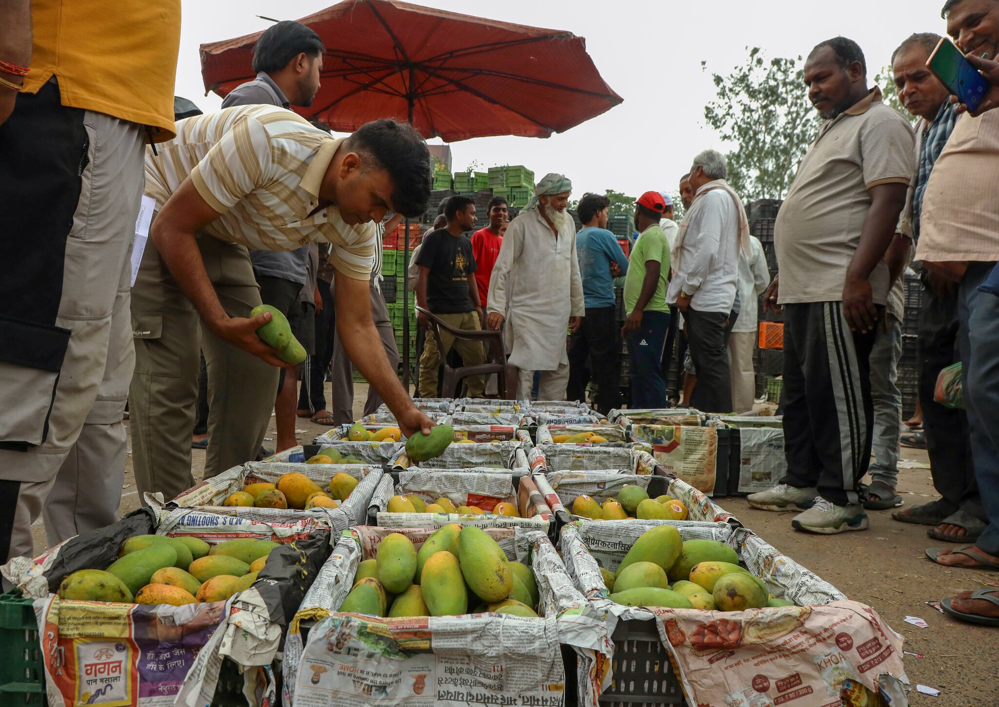 Why have several nations raised red flags over Indian farm exports?