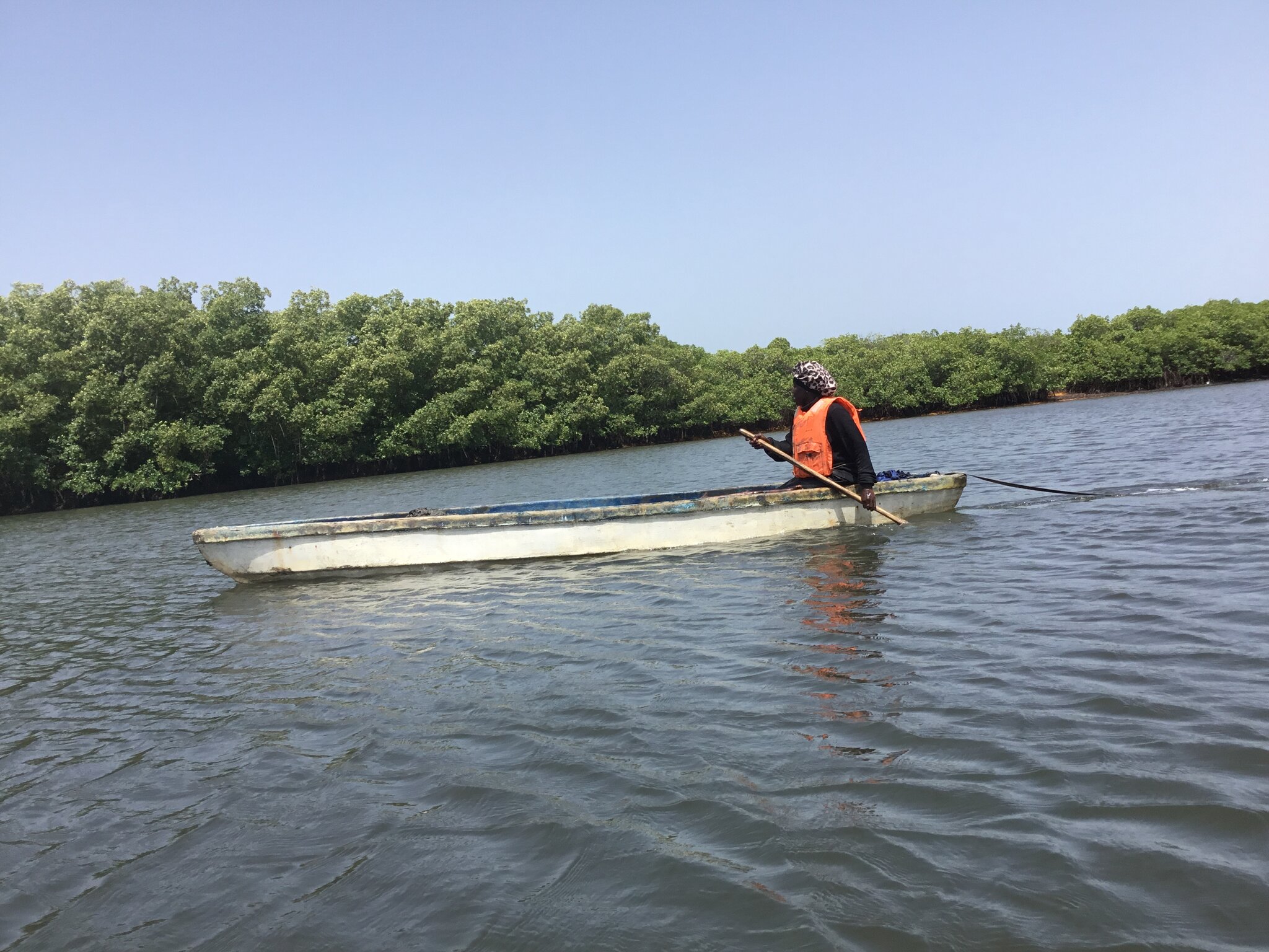 How Gambian women are restoring the mangroves protecting Banjul