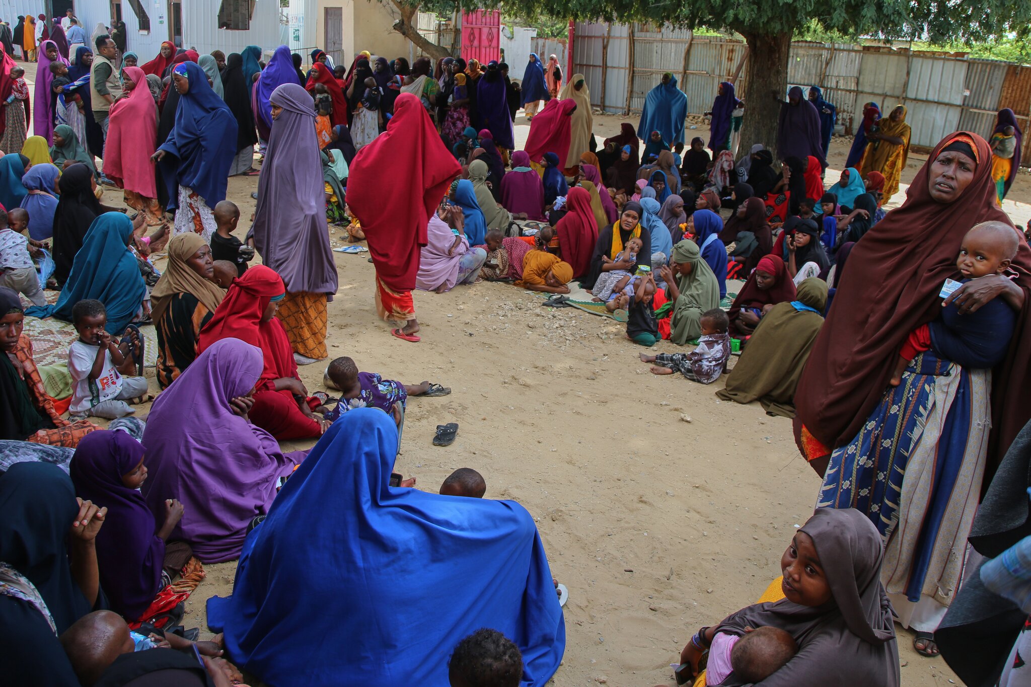 Can a humanitarian disaster be averted in Somalia?