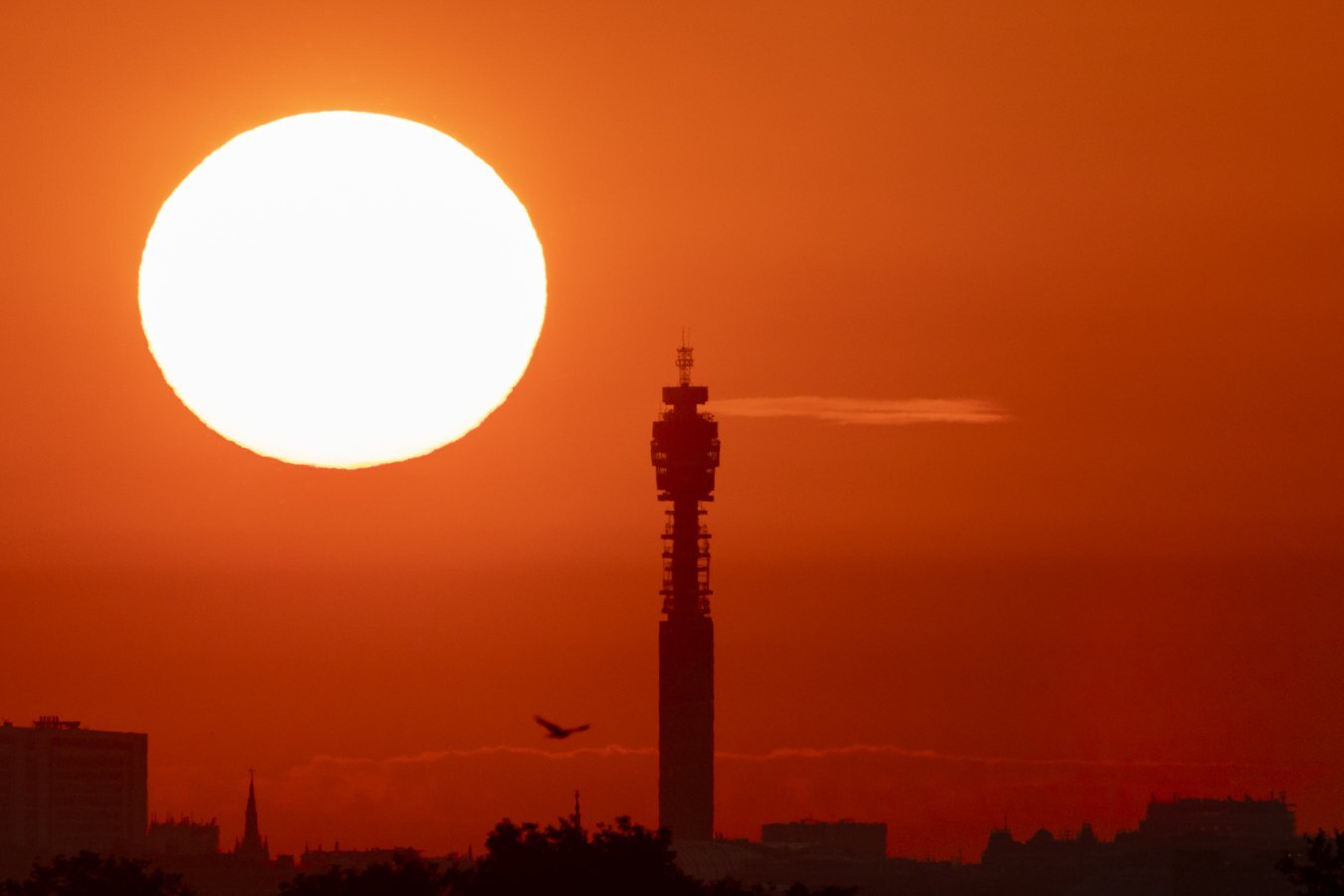 The UK just had its hottest summer ever