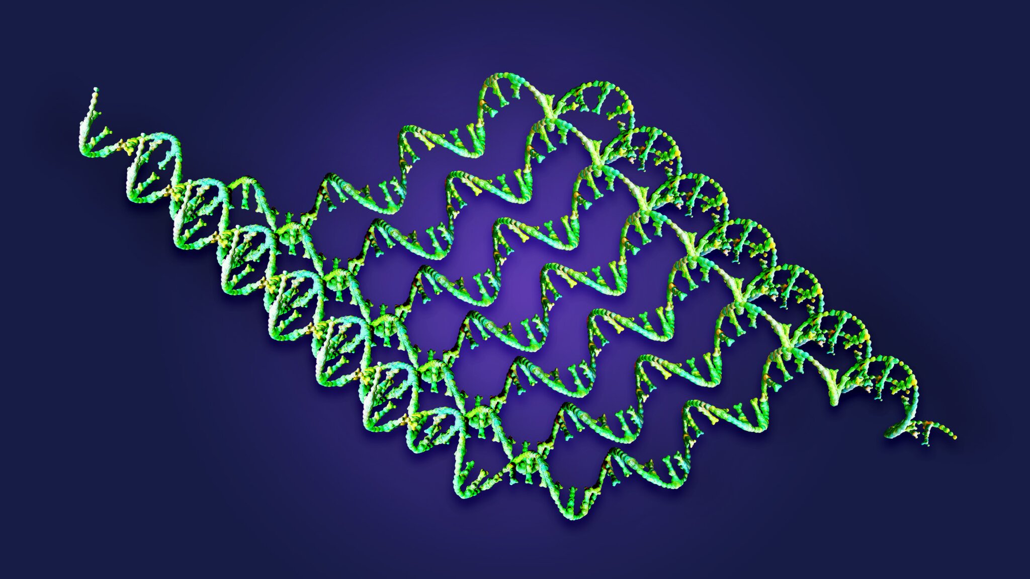 What’s in Merck and Moderna’s cancer vaccine algorithm?