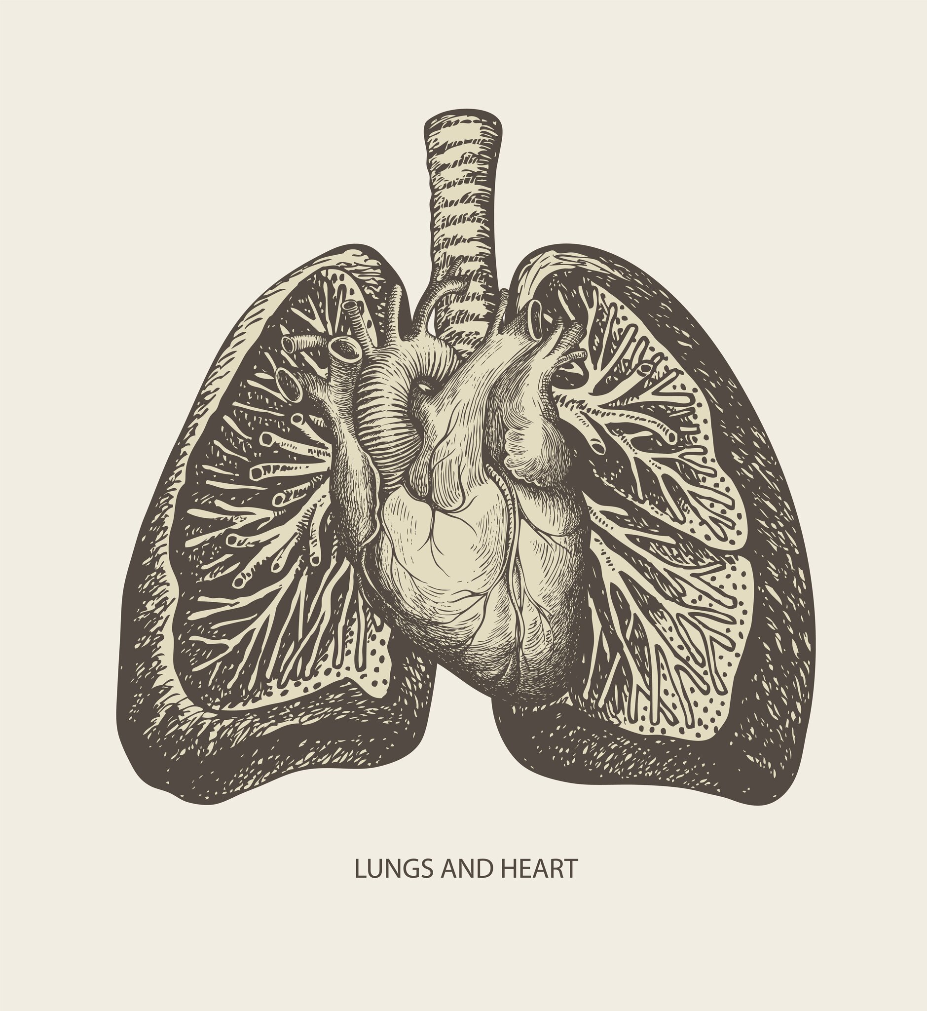 Biotech’s next big bet: A Tenax study of a heart failure treatment